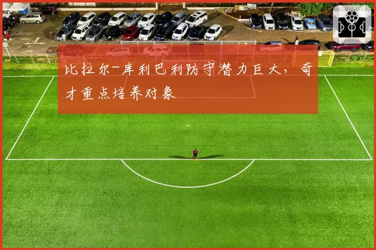 比拉尔-库利巴利防守潜力巨大,奇才重点培养对象
