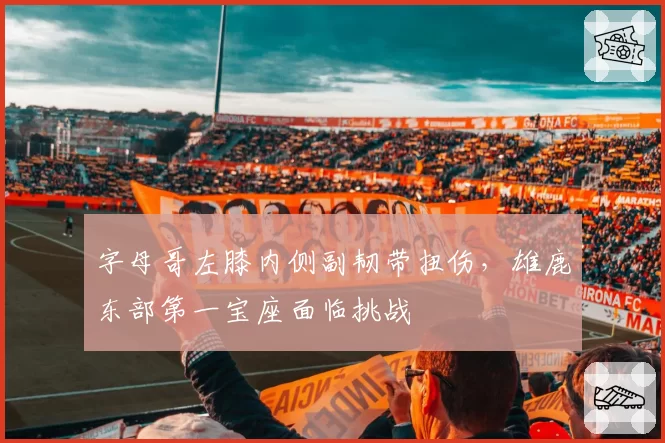 字母哥左膝内侧副韧带扭伤，雄鹿东部第一宝座面临挑战