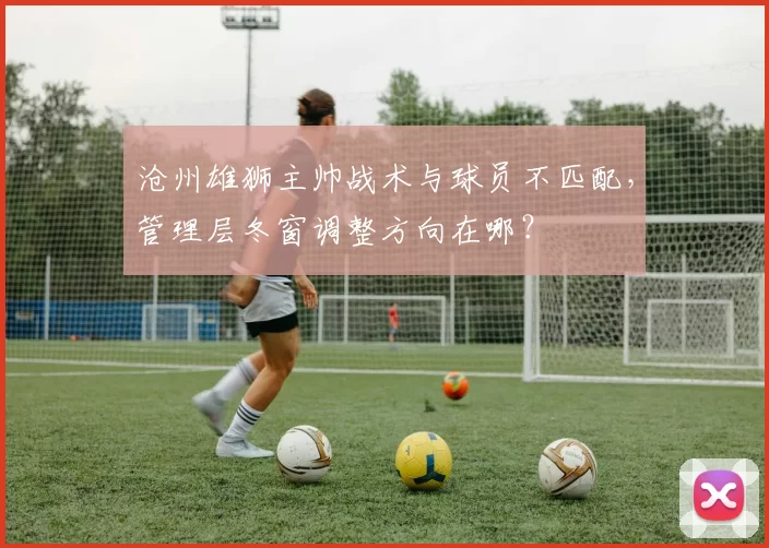 沧州雄狮主帅战术与球员不匹配，管理层冬窗调整方向在哪？